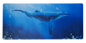 Blue Whale Desk Mat